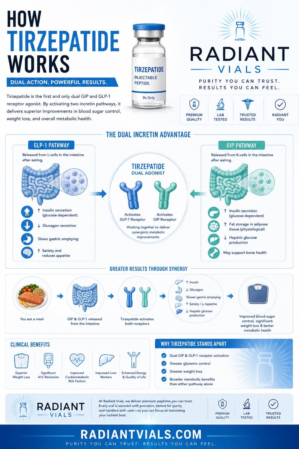 Tirzepatide dual GIP and GLP-1 incretin pathway infographic